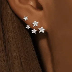 Boucles d’oreilles argenté une paire